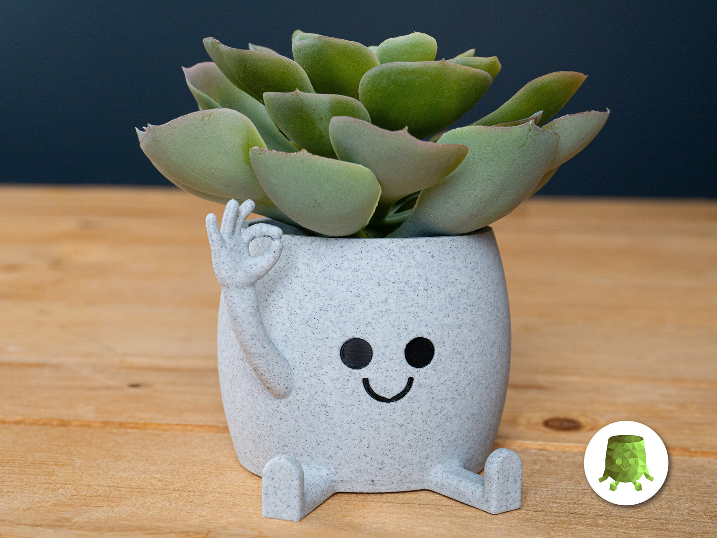 Smiley Face Plant Pot Ok Hand Middle Finger Flower Succulent Planters Pen Holder Desk Tidy Funny
