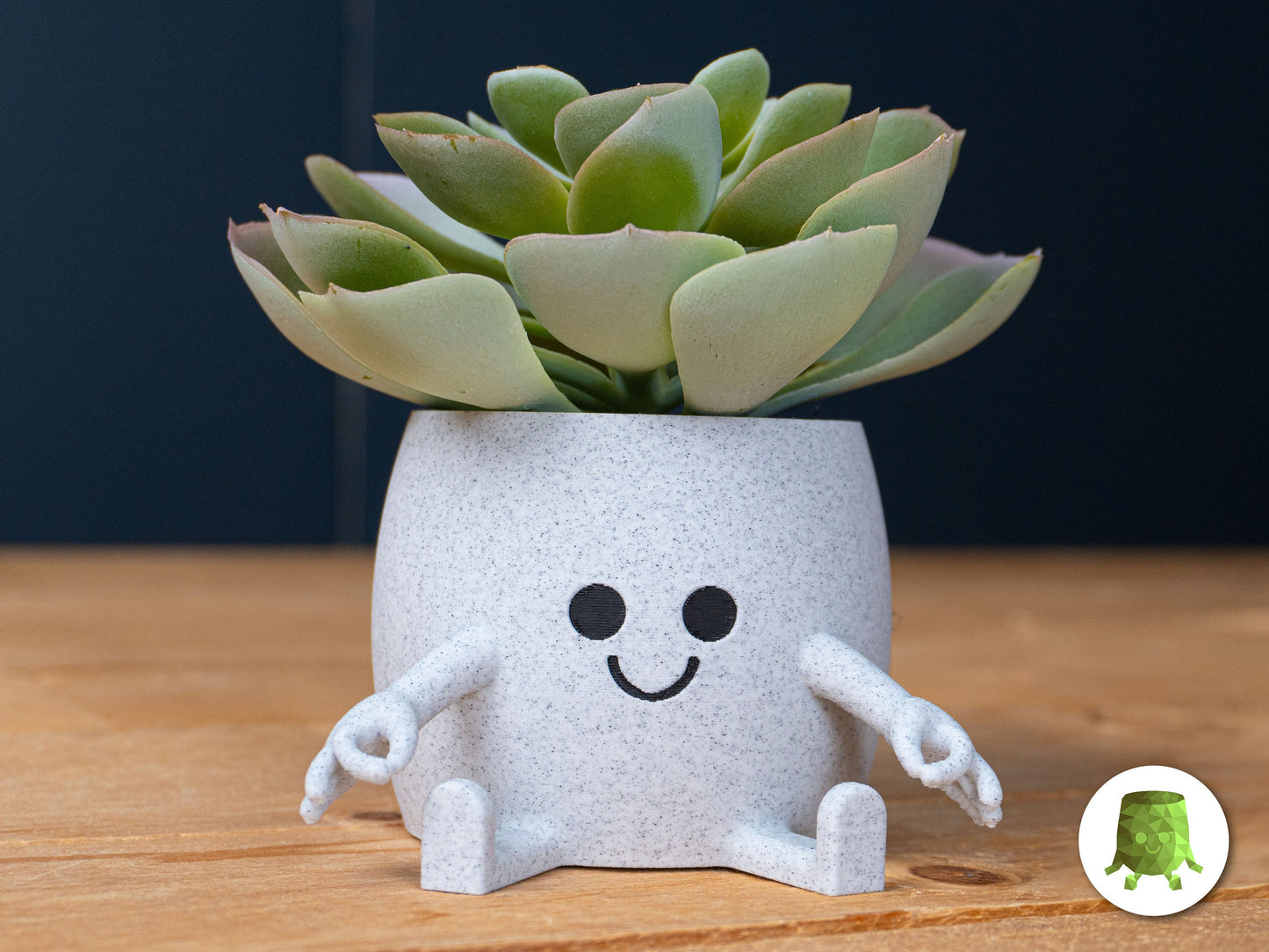 Smiley Face Plant Pot Ok Hand Middle Finger Flower Succulent Planters Pen Holder Desk Tidy Funny