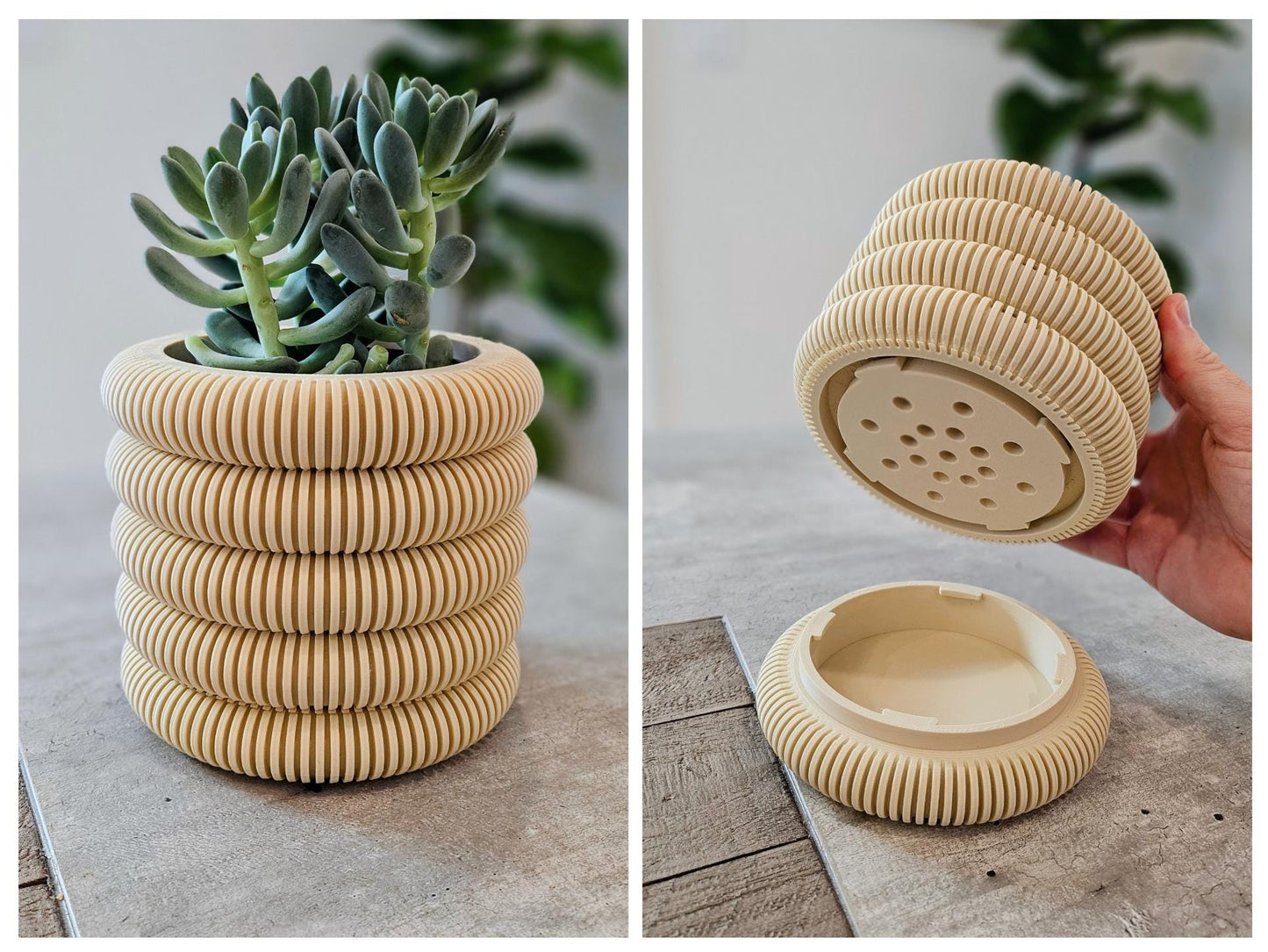 Coins Planter with Hidden Drip Tray | Modern Ribbed Plant Pot | 3D Printed Indoor Planter