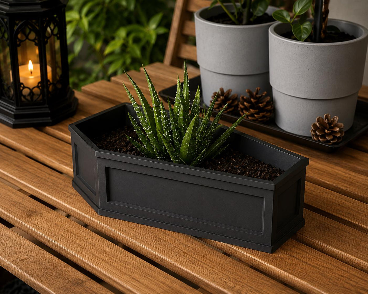 Coffin Planter with Drainage Tray | Gothic Plant Pot | Spooky Succulent Planter | Goth Home Decor | Halloween Plant Pot | Dark Academia