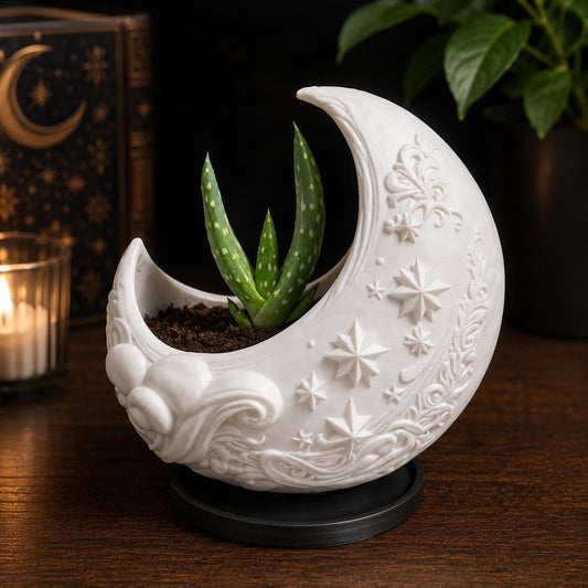 Crescent Moon Planter with Drip Tray | Celestial Plant Pot | Gothic Witchy Decor | Succulent Planter | Choose Your Colour