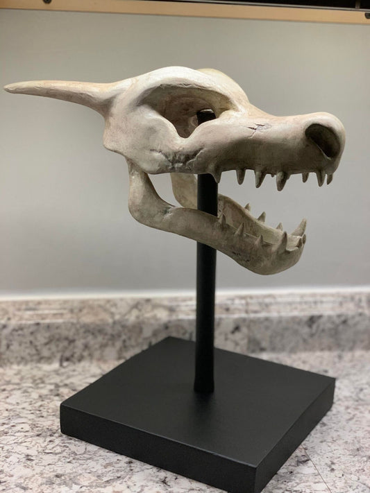 Charizard Fossil Skull with Stand 3D Printed Pokemon Statue Figure Model