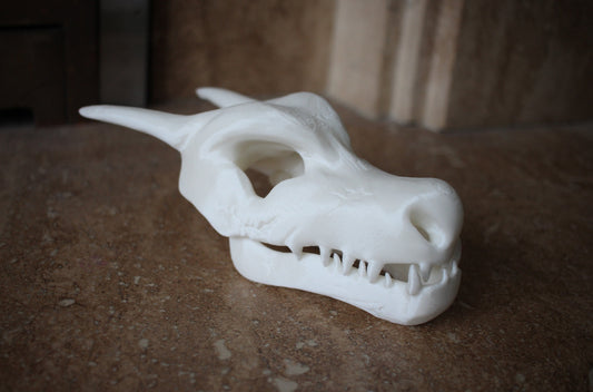 Charizard Fossil Skull with Stand 3D Printed Pokemon Statue Figure Model - 3 Size Available Small Medium Large - White Ready to Paint