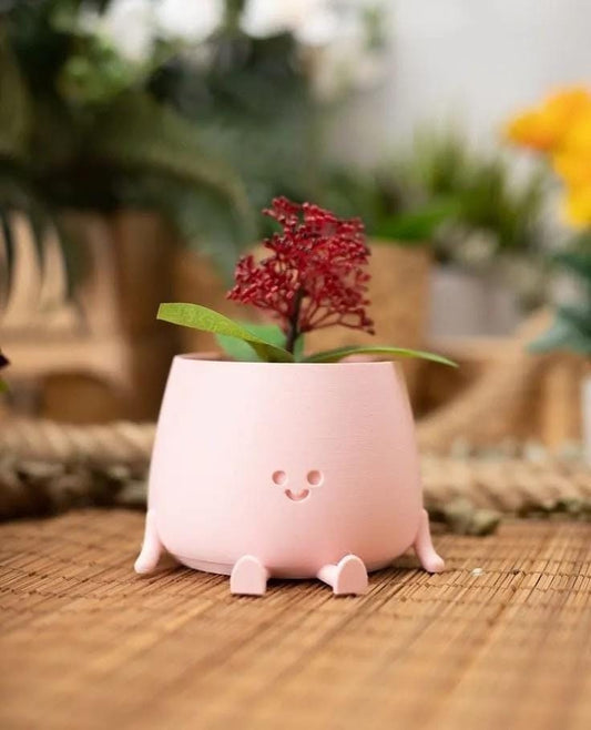 Official Cute Happy Face Pot Planter - Choose Your Colour - Sitting Pot, Funny Planter, Succulent, Cacti Planter, Silly Plant Pot, Gift