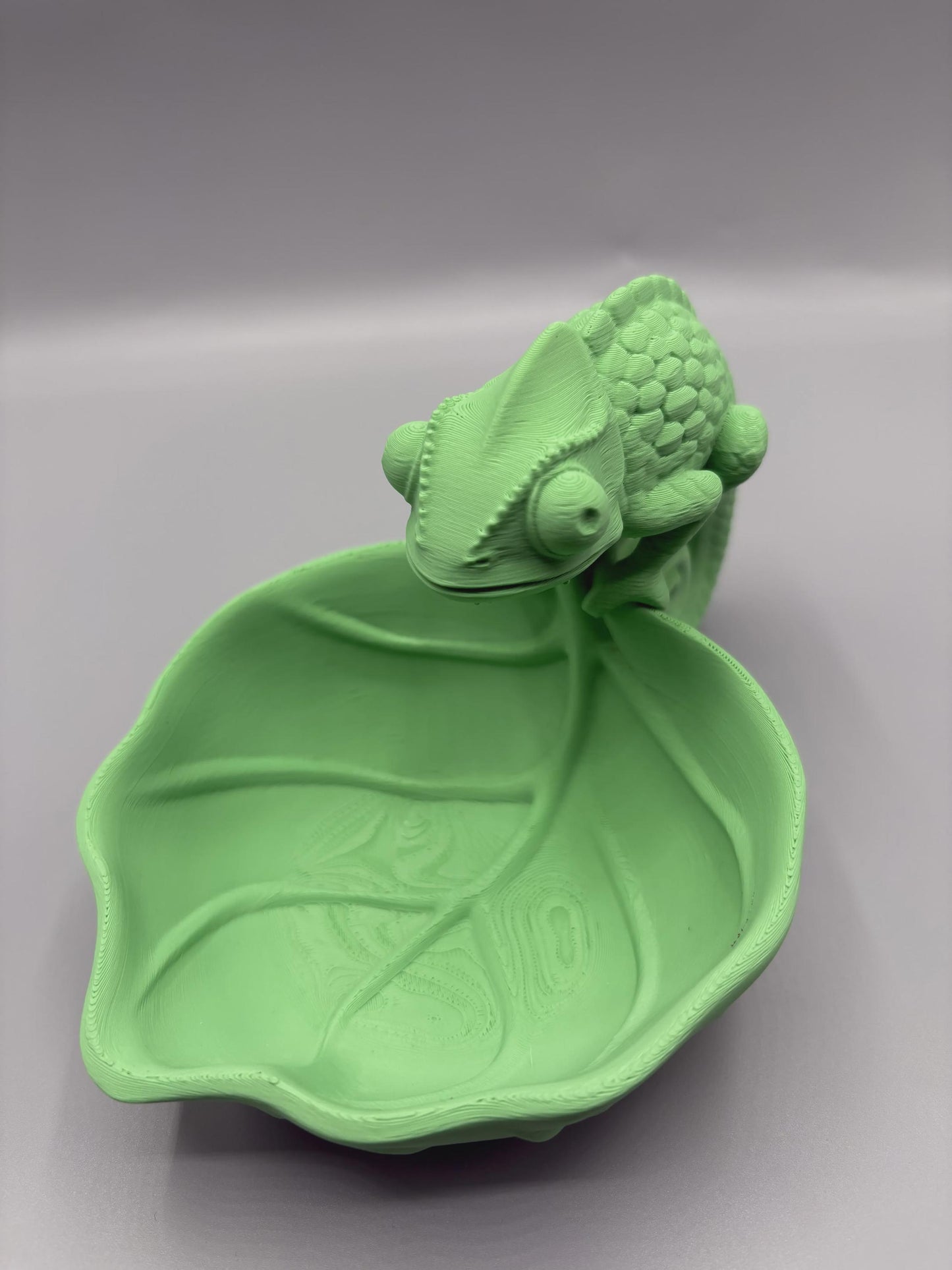 Chameleon Catchall Bowl | Pascal Inspired Key Holder Tray | Tangled Decor | Desk Organizer | 3D Printed Gift | Choose Your Colour