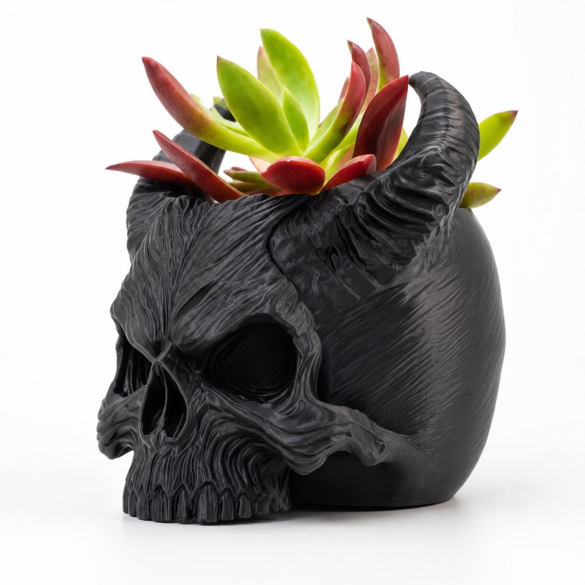 Gothic Skull Planter | Horned Skull Plant Pot | Dark Gothic Home Decor | Succulent Planter | Witchy Alternative Gift | Choose Your Colour